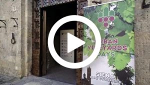 Urban Vineyards Days - Siena, 16-17/10/2021