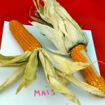 Cereali antichi - 01/12/2021