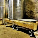 Biennale Architettura 2023 in Cantina