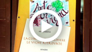 Arte in Vigna, 27/10/2024